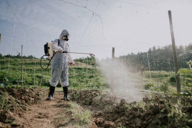 Best Commercial Pest Control Services  in Festus, MO