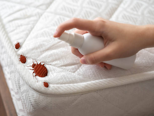 Best Commercial Pest Control Services  in Festus, MO