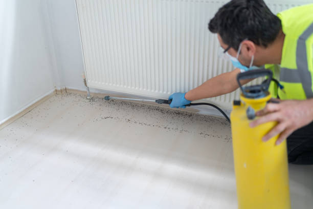 Pest Control for Restaurants in Festus, MO
