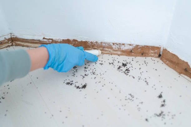 Pest Control Cost in Festus, MO